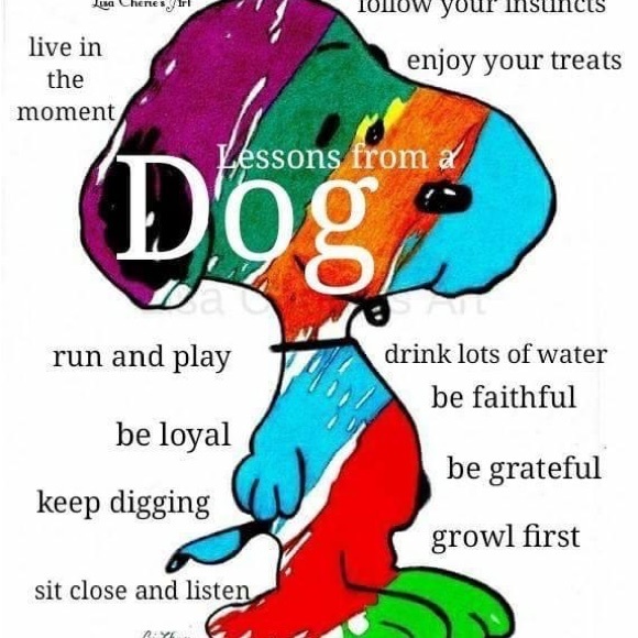 Meet your Posher, Mike - Picture 5 of 6